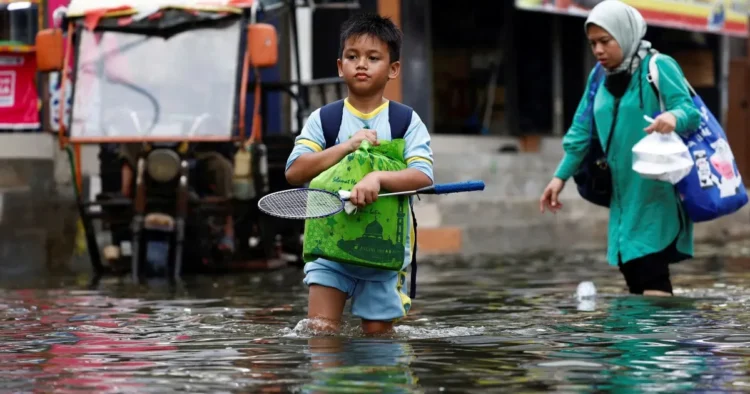 ‘Unexpected’ rate of sea level rise in 2024: NASA | Environment News