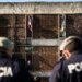 Prisoners could request early release in more cases of serious or sexual crimes if the reform of the penal system is approved