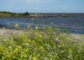Government launched a US$ 10 million project to promote adaptation to climate change in coastal areas