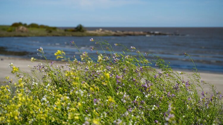 Government launched a US$ 10 million project to promote adaptation to climate change in coastal areas