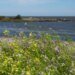 Government launched a US$ 10 million project to promote adaptation to climate change in coastal areas