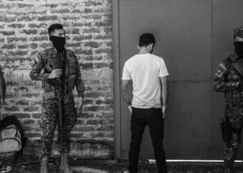 Everyday Cruelty | The Lighthouse