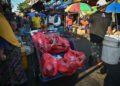 Small businesses feel the pinch of rising plastic costs – Society