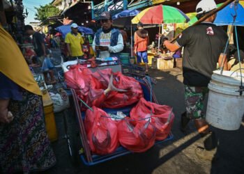 Small businesses feel the pinch of rising plastic costs – Society