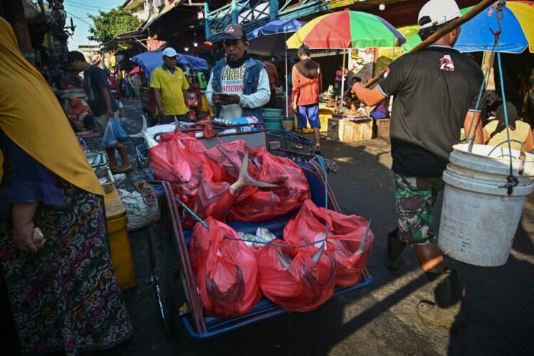 Small businesses feel the pinch of rising plastic costs – Society