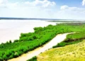 March 26 has been declared International Aral Sea Day