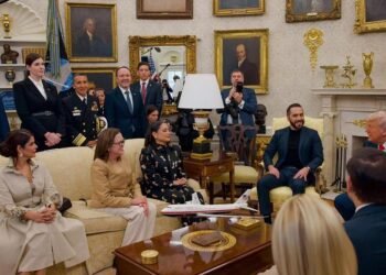 Bukele Pays for MAGA Lobbying through Opaque Public Electricity Company | The Lighthouse