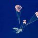 Artemis II: The 10 iconic moments of the historic mission to orbit the Moon