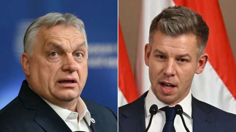 Live updates: Trump ally Viktor Orbán concedes defeat