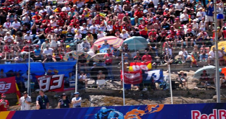 MotoGP: Aleks Marquez celebrated on the Jerez track