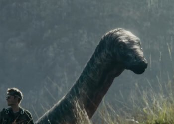 A new hit on streaming platforms before the continuation of the franchise