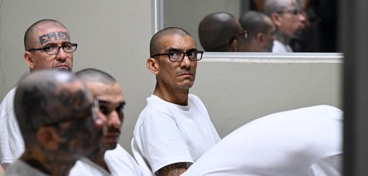 Podcast: Mass Trial for Collective Gang Crimes Begins in El Salvador | The Lighthouse