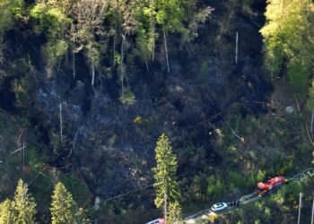 Emergency services: Forest fire in Esch-sur-Sûre, nine injured in traffic accidents