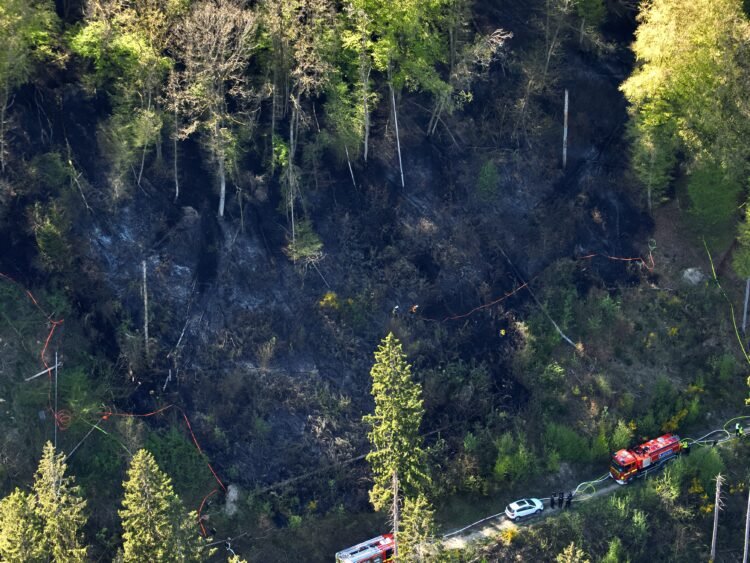 Emergency services: Forest fire in Esch-sur-Sûre, nine injured in traffic accidents