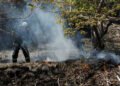 Japan deploys 1,400 firefighters to battle raging wildfires in the north – Asia & Pacific