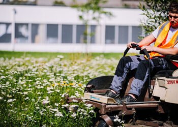 Minors are not allowed to mow lawns as paid job in Estonia | News