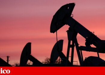 United Arab Emirates leaves OPEC and casts uncertainty on the oil market | Oil