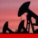 United Arab Emirates leaves OPEC and casts uncertainty on the oil market | Oil