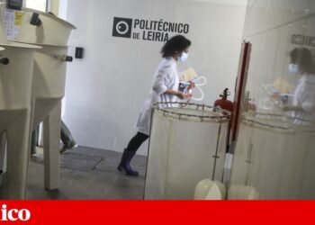 PTRR: 150 million for two new universities and support for institutions in the interior | Higher education