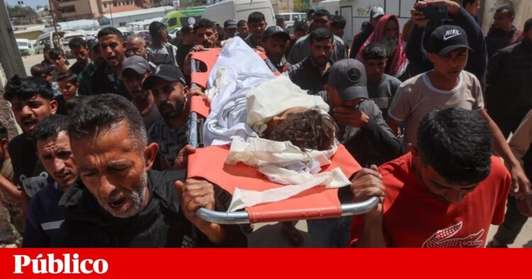Israeli attacks in Lebanon and Gaza kill ten people, including a 9-year-old child | middle East