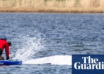 Final steps taken before audacious plan to tow whale stranded in Germany to North Sea | Germany