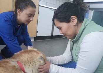 Newly trained Greenlandic vets