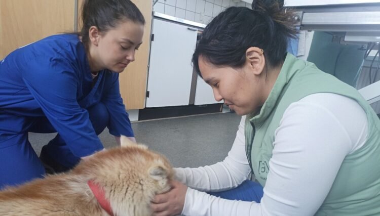 Newly trained Greenlandic vets