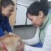 Newly trained Greenlandic vets