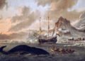 The whaling of the past threatens the bowhead whale thousands of years into the future