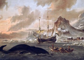 The whaling of the past threatens the bowhead whale thousands of years into the future