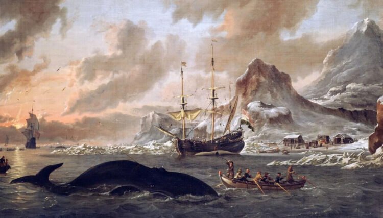 The whaling of the past threatens the bowhead whale thousands of years into the future