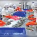 Shrimp Exports Break 10,000 MT Barrier in FY 2025-26