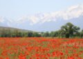 In May, Kyrgyzstanis will rest for 10 days in a row – News from Kyrgyzstan – AKIpress