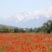 In May, Kyrgyzstanis will rest for 10 days in a row – News from Kyrgyzstan – AKIpress