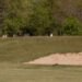 Golfers battle Trump over takeover of public golf courses