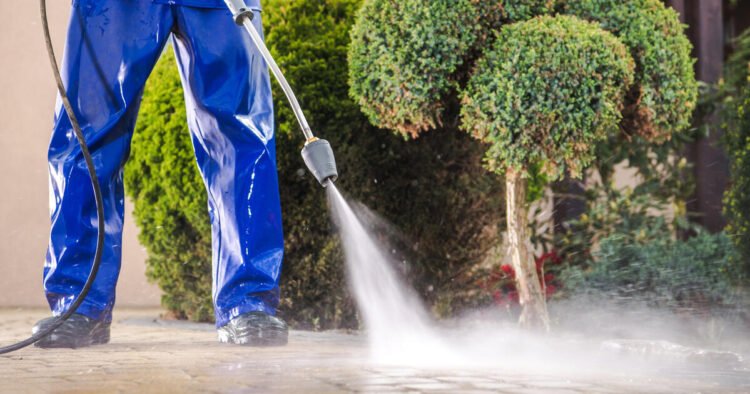 13 tips for a spring check – Fatherland online