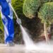 13 tips for a spring check – Fatherland online