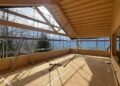 The “Saroja” in planks grows and grows