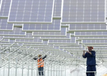 Between war and peace, green energy flourishes
