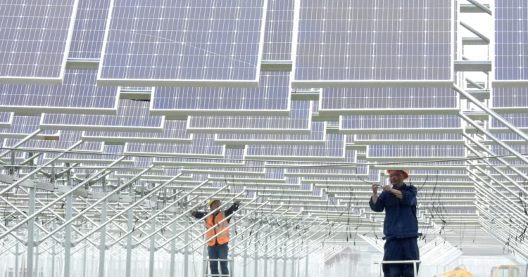 Between war and peace, green energy flourishes