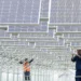 Between war and peace, green energy flourishes