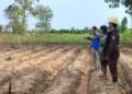 CMAC intensifies clearance of cluster bombs to free land for community livelihoods