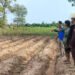 CMAC intensifies clearance of cluster bombs to free land for community livelihoods