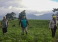 Nicaraguan farmers who farm in Costa Rica