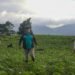 Nicaraguan farmers who farm in Costa Rica