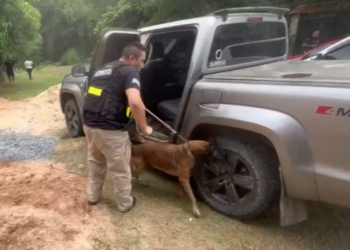 He had more than 10 kilos of drugs in the tank of his truck and Rocky betrayed him – Police