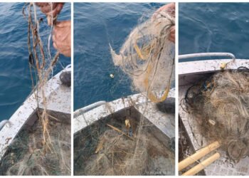 Issyk-Kul has not been cleared of networks for 5 years,