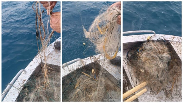 Issyk-Kul has not been cleared of networks for 5 years,