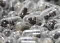 Chinese man jailed after trying to smuggle 2,200 ants out of Kenya in his luggage