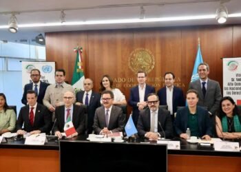 UN High Commissioner expresses concern about violence in Mexico in the Senate